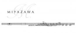 Изображение продукта MIYAZAWA MJ-101SREH