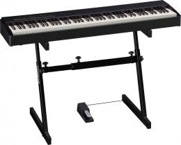 Изображение продукта Roland F-20-СB