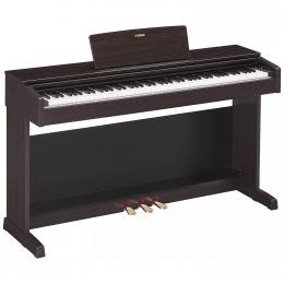 Изображение продукта Yamaha YDP-144B