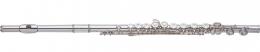 Изображение продукта Yamaha YFL-421(II)/02