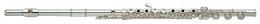 Изображение продукта Yamaha YFL-481ii