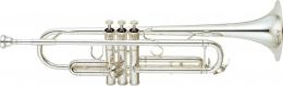 Изображение продукта Yamaha YTR-6335S